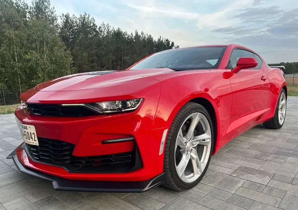 wielkopolskie Chevrolet Camaro cena 157000 przebieg: 6100, rok produkcji 2021 z Turek